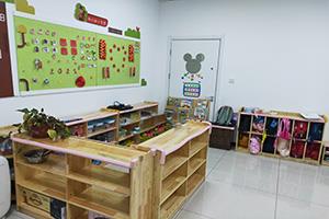 公司介绍